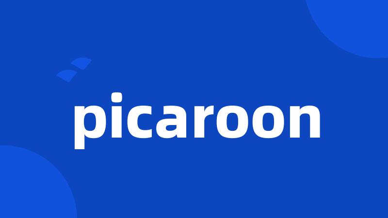 picaroon