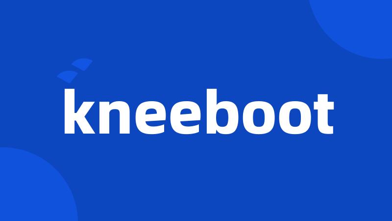 kneeboot