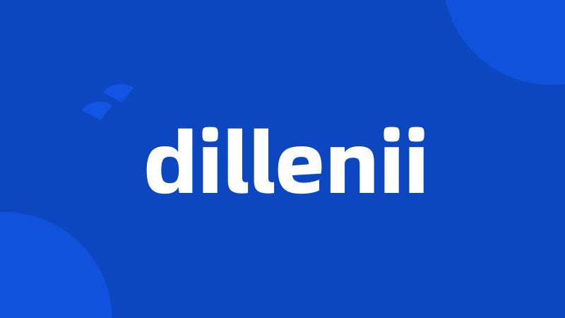 dillenii