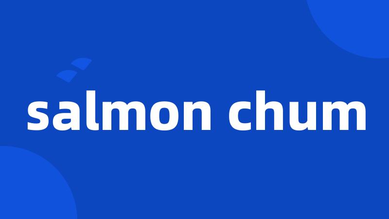 salmon chum