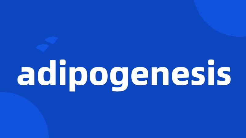 adipogenesis