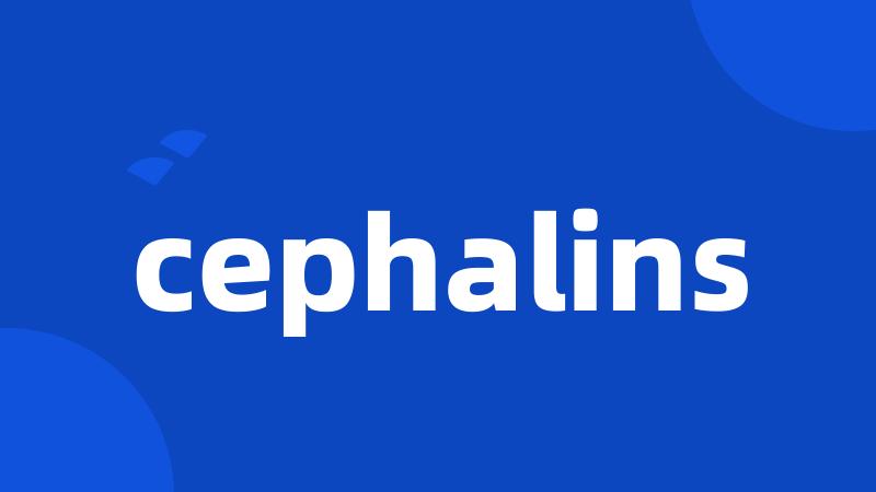 cephalins