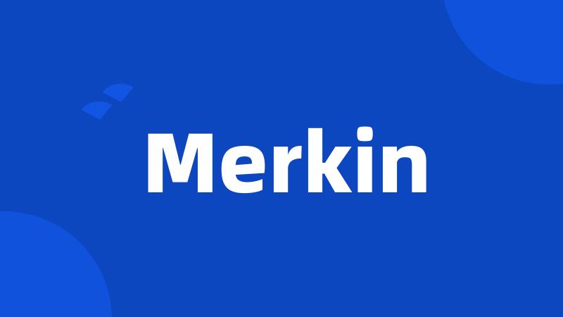 Merkin