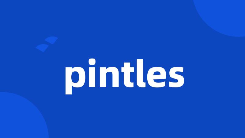 pintles