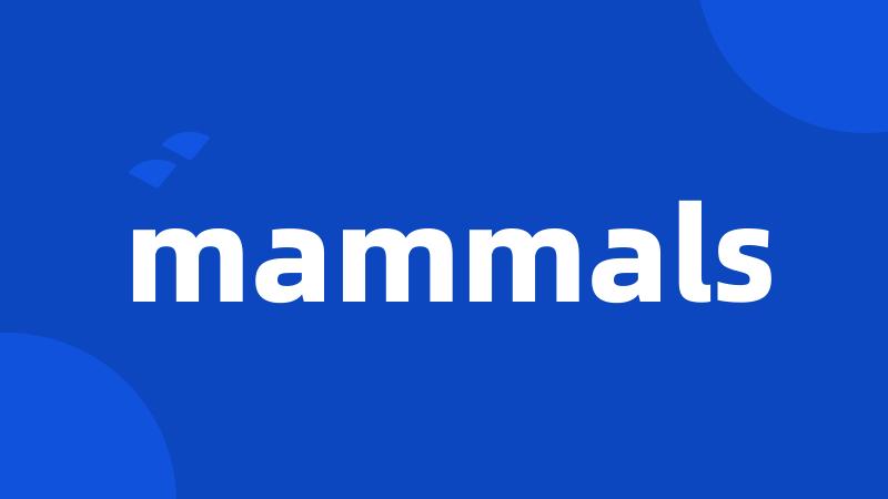 mammals