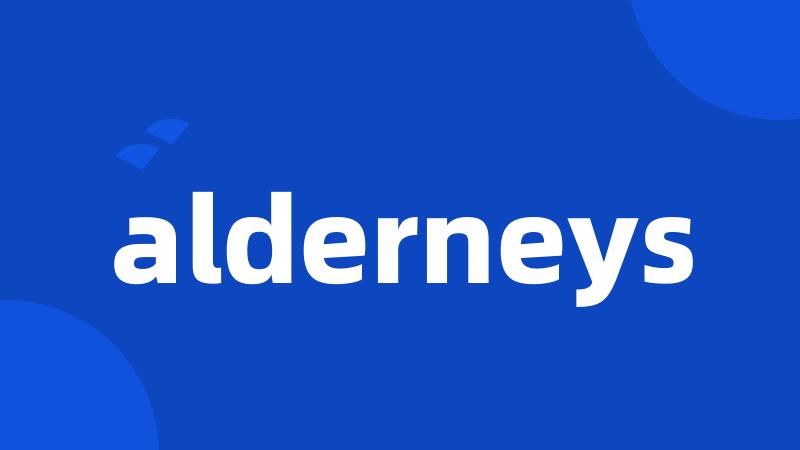 alderneys