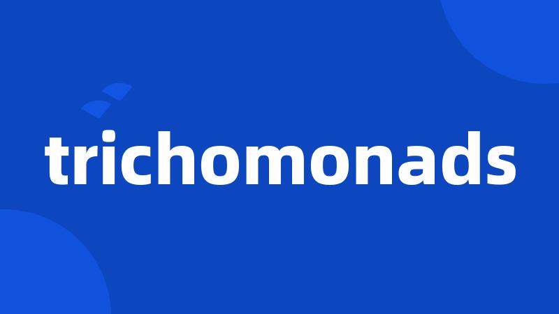 trichomonads