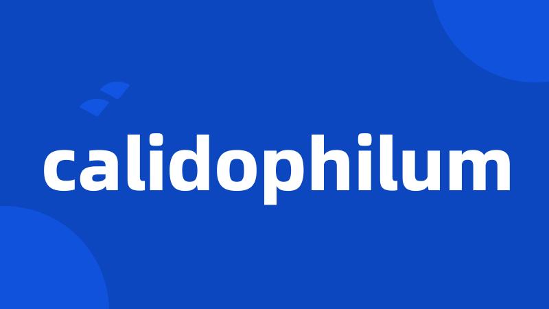 calidophilum