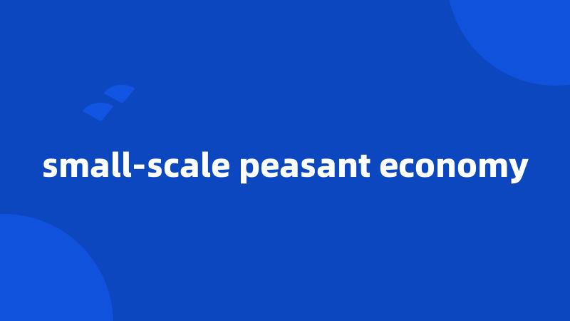 small-scale peasant economy