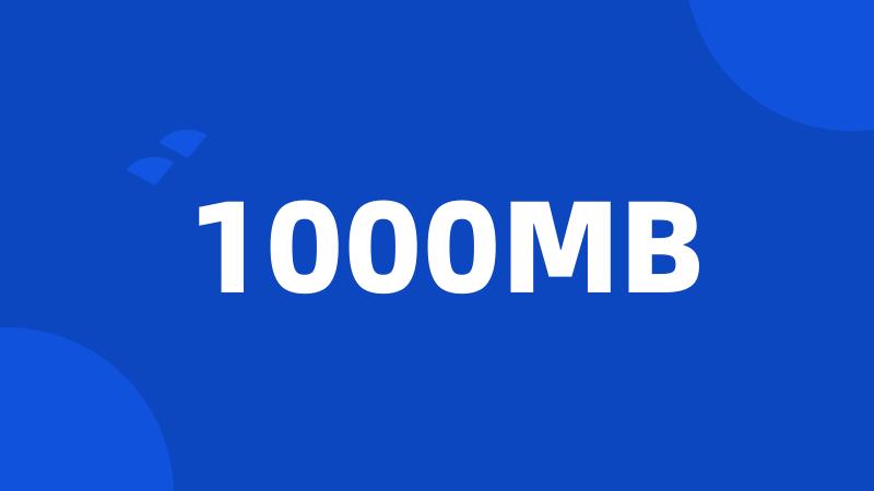 1000MB