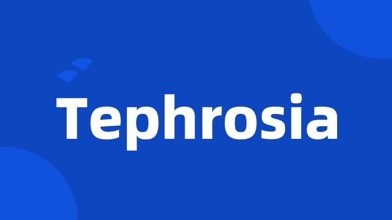 Tephrosia