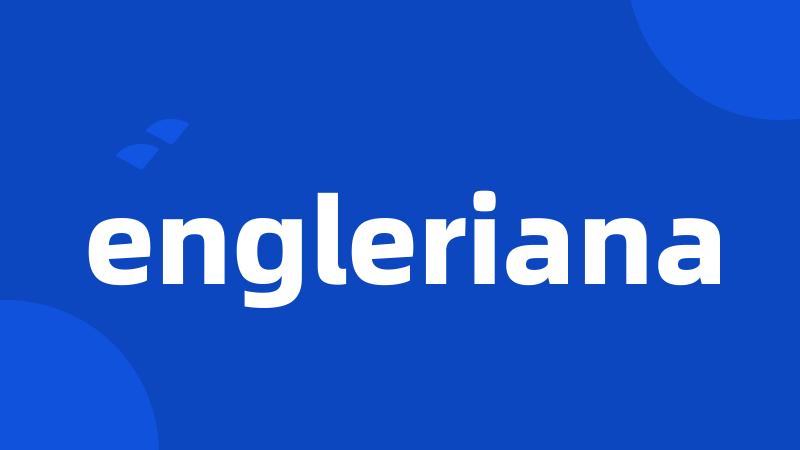 engleriana