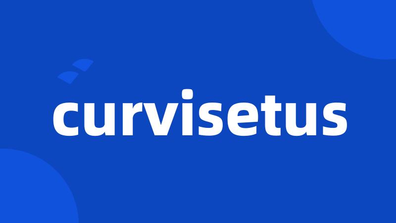 curvisetus