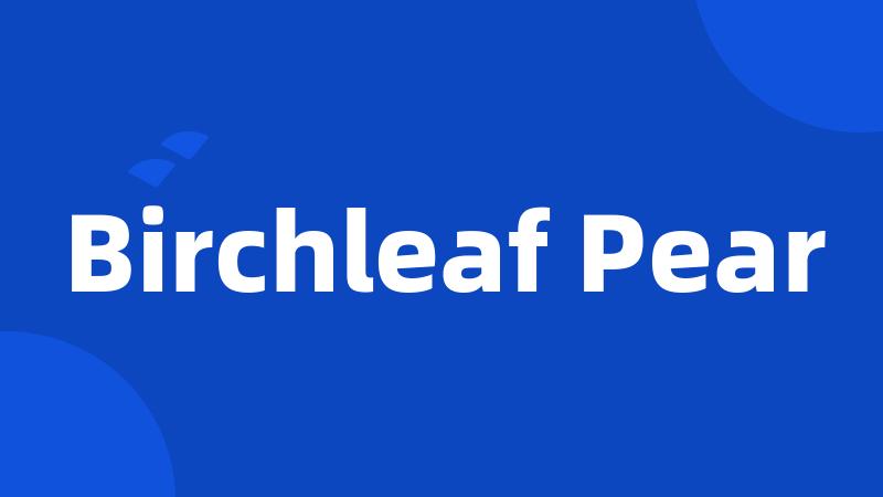 Birchleaf Pear