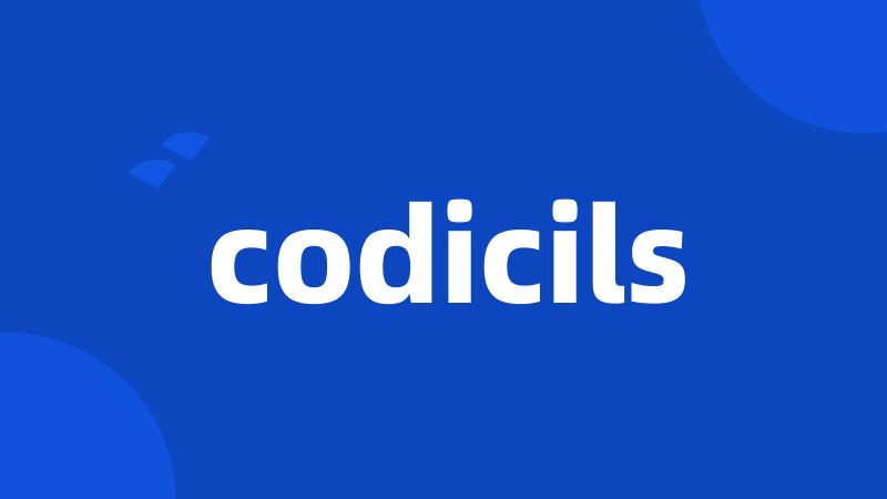 codicils