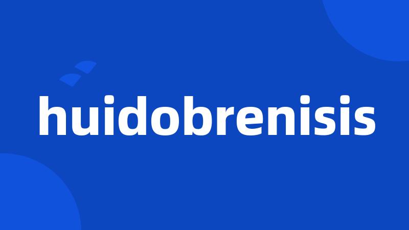 huidobrenisis