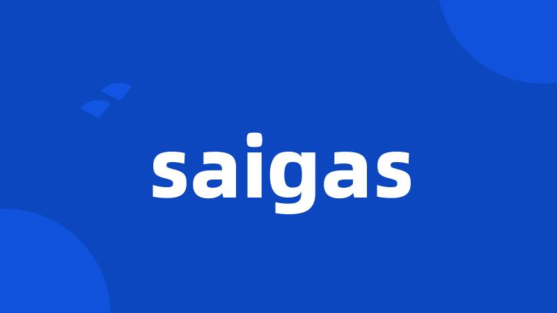 saigas