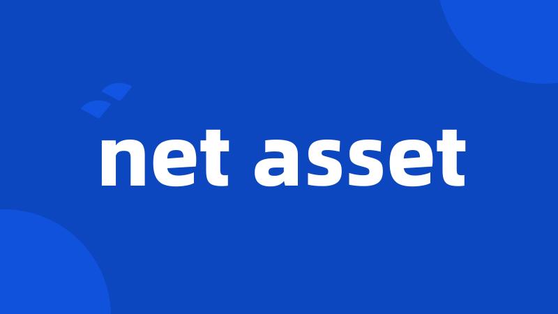 net asset