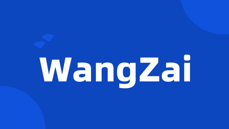 WangZai