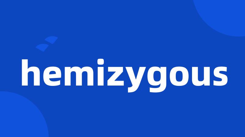 hemizygous