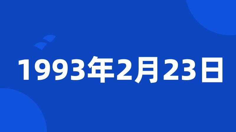 1993年2月23日