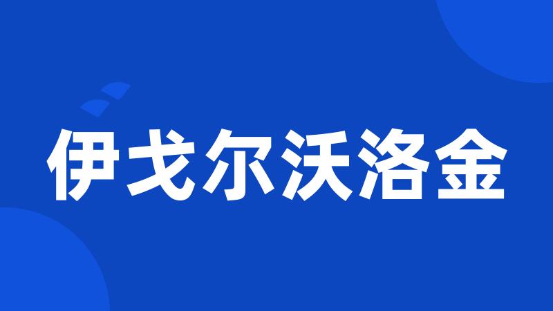 伊戈尔沃洛金