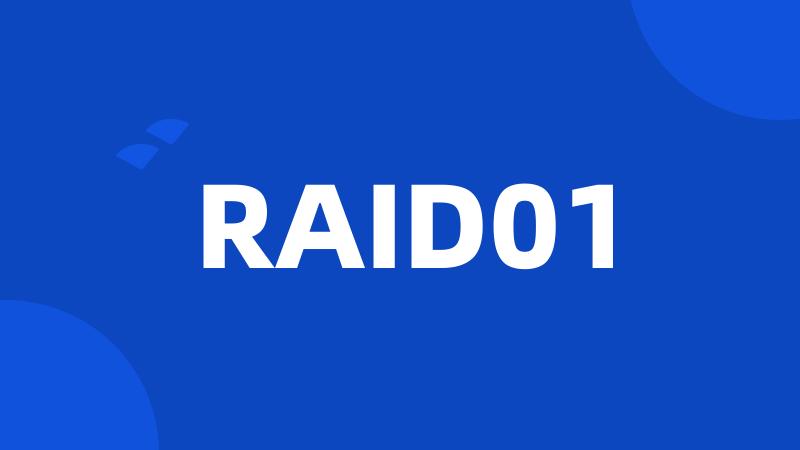 RAID01