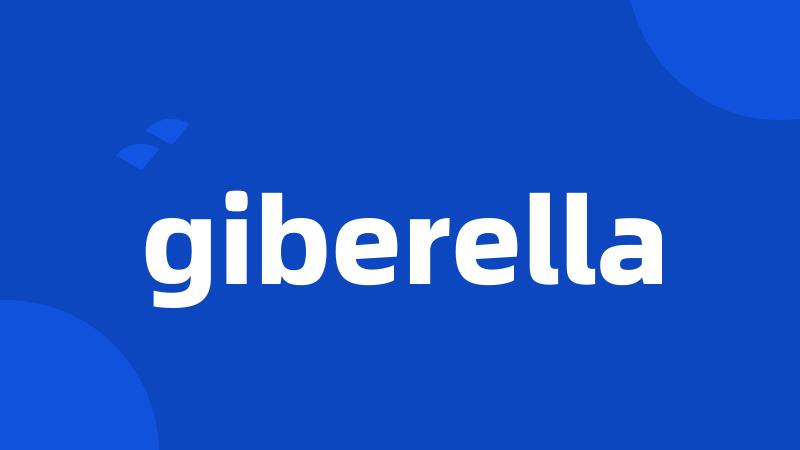 giberella