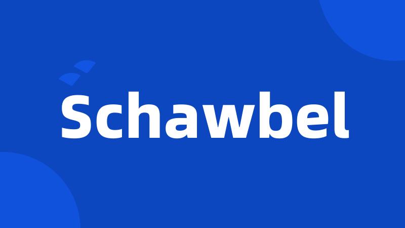 Schawbel