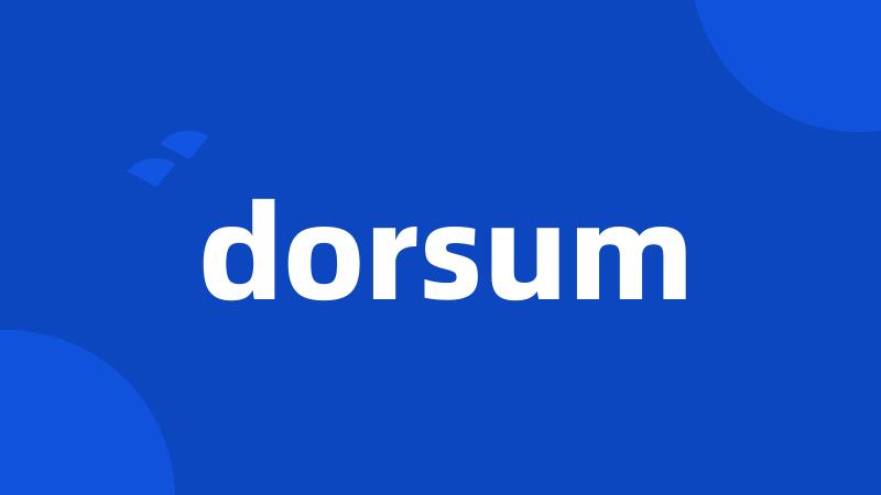 dorsum