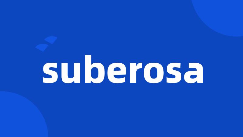 suberosa