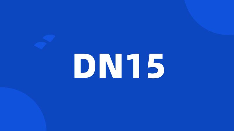 DN15