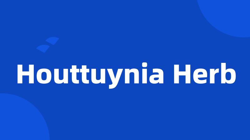 Houttuynia Herb