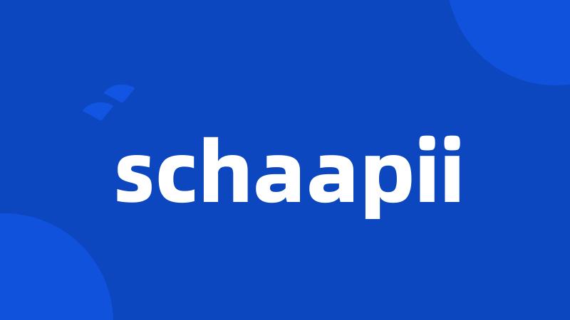 schaapii