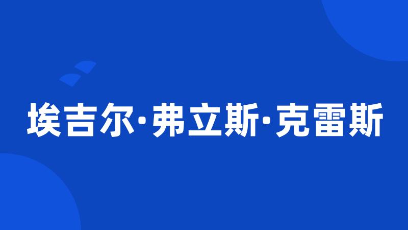 埃吉尔·弗立斯·克雷斯