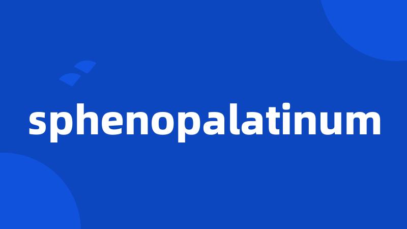 sphenopalatinum