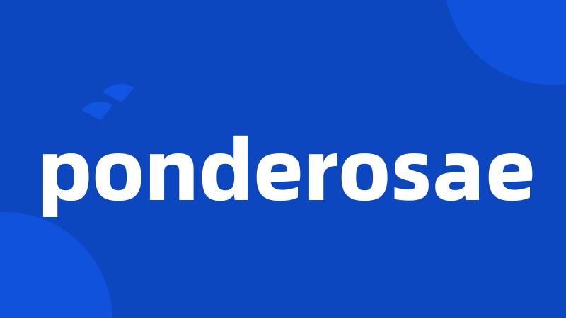 ponderosae