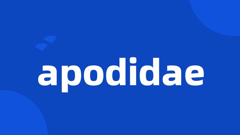 apodidae