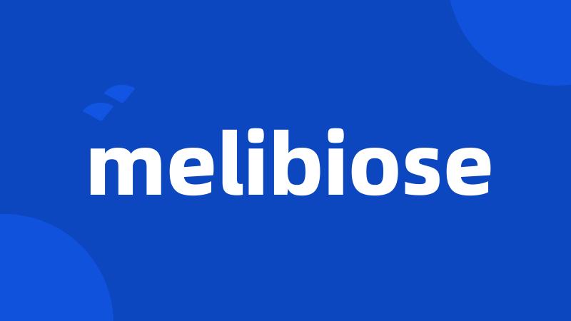 melibiose