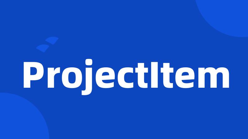 ProjectItem