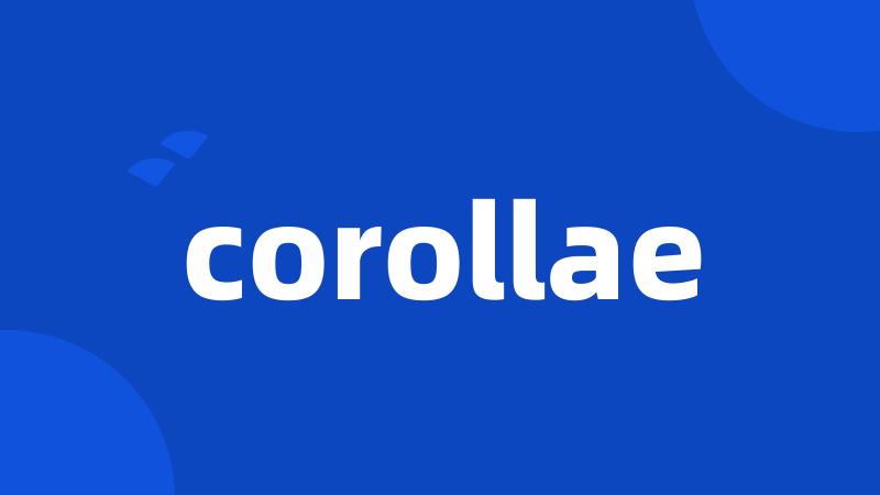 corollae