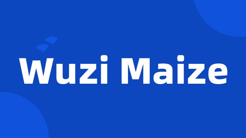 Wuzi Maize