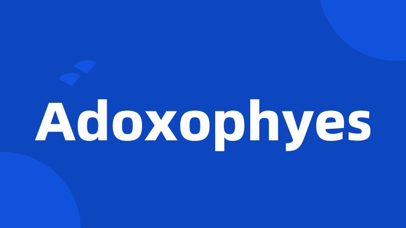 Adoxophyes