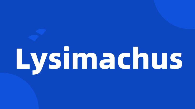 Lysimachus