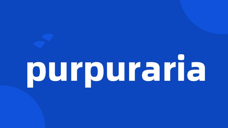 purpuraria