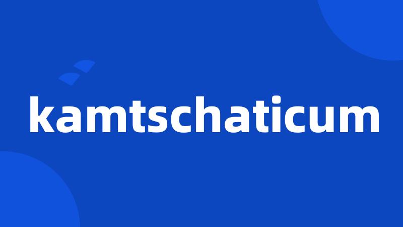 kamtschaticum