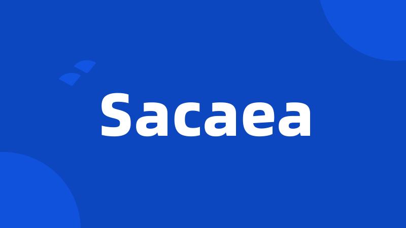 Sacaea