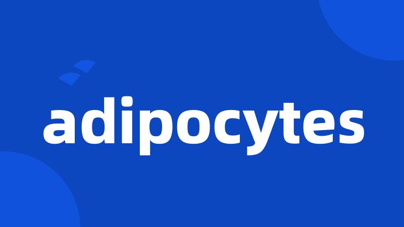 adipocytes