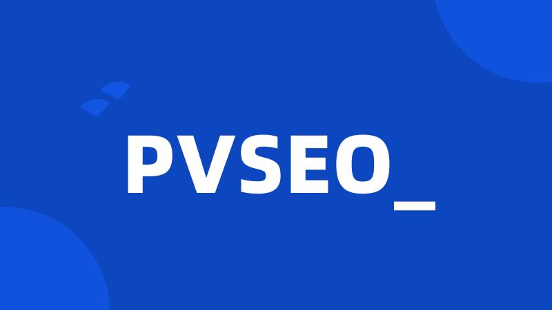 PVSEO_