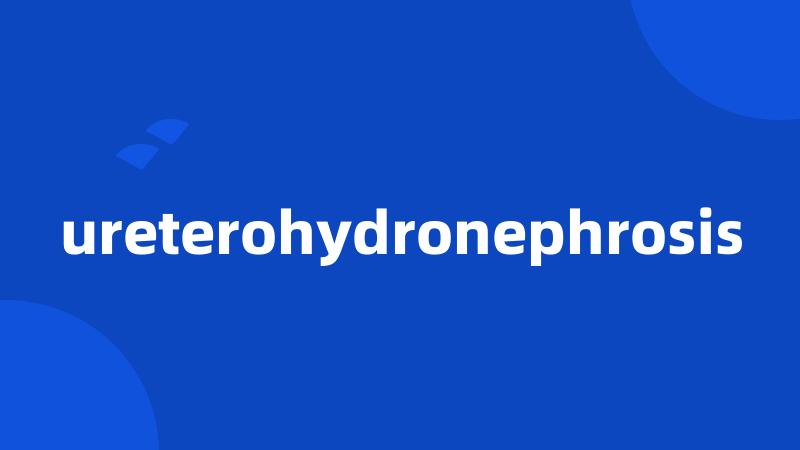 ureterohydronephrosis